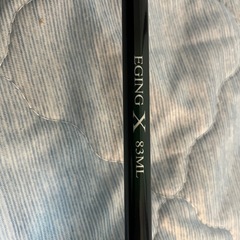 釣り ロッド ダイワ LATEO 96ML・ダイワ エギングX83ML  ロッドケース付きの画像