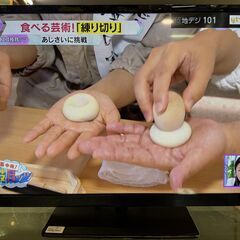 TV　トウシバ　32S10　2015　堺市　深井　 【ジャングル...