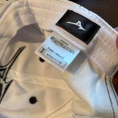 ランバード帽子の画像