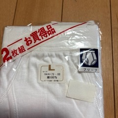 ブリーフ2枚、サイズLの画像