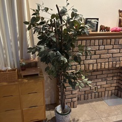 取引者決定　観葉植物　フェイクグリーンの画像