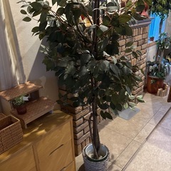 取引者決定　観葉植物　フェイクグリーンの画像