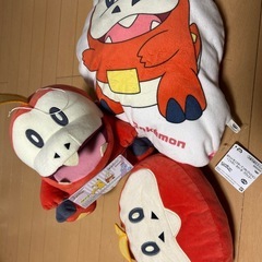 ポケモン　ホゲータセット