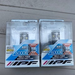 IPF T20 LEDランプ　500lm