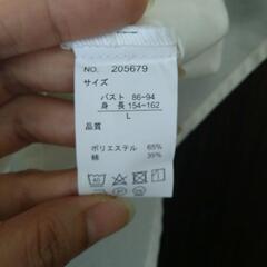 レディース　シャツの画像