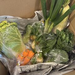 野菜作りでリフレッシュ‼️