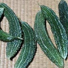 無農薬のゴーヤー格安価格🥒