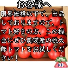 北海道美瑛産 甘くてジューシー！訳あり桃太郎トマト 4kg(1ケース)の画像