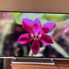 超美品☆TOSHIBA REGZA レグザ フルハイビジョンTV...