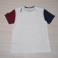 ビバリーヒルズポロクラブメンズTシャツタイ限定の画像