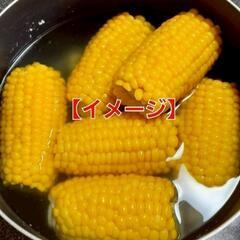 No.207　激甘‼️子供が居る家庭に最適‼️⑦輪切り・筒切りト...
