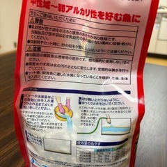 金魚の砂の画像