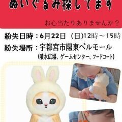 【捜索願】宇都宮市 モフサンド ぬいぐるみ 落としもの