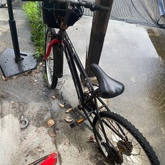 小学低学年自転車