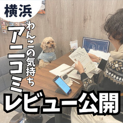 【アニマルコミュニケーション】【犬の気持ち】アットホームな…