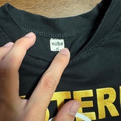 ヒスミニ半袖Tシャツ100の画像