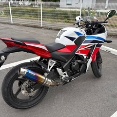 ニワカライダーと友達になってくれますか？