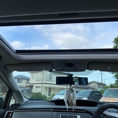 TOYOTA PRIUS SUN ROOF の画像