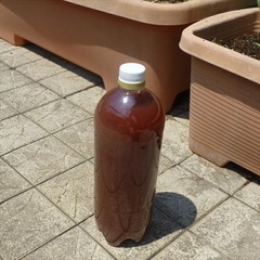 自家製PSB  500ml  1本　