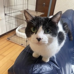 2歳の男の子