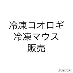 爬虫類餌　冷凍コオロギ　マウス　販売