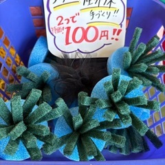 煌メダカ販売中‼️