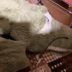人間大のぬいぐるみの画像