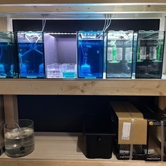 コトブキ水槽7点の画像