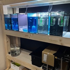 コトブキ水槽7点の画像