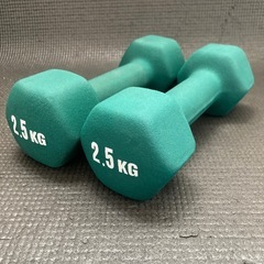 スポーツオーソリティ　ダンベル　2.5kg　グリーン　2個セット...