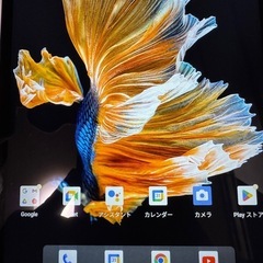 Fpad3  セルラーモデルの画像