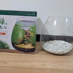 【決定】水槽セット ヒーター、ライト、ポンプ付きの画像