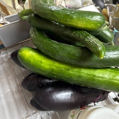朝摘み🥒きゅうり（４本）美味いよの画像