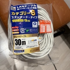LANケーブル