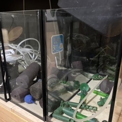 コトブキ水槽7点の画像