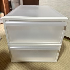 dinos！クリアケース2段セットで！中サイズの画像