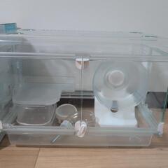 【決定】ハムスターケージ グラスハーモニー360プラスの画像