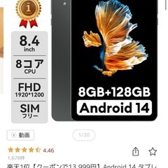 Fpad3  セルラーモデルの画像