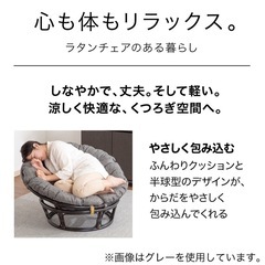 ニトリ　リラックスチェア✨　2脚の画像
