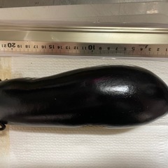 なすの画像