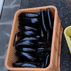 なす