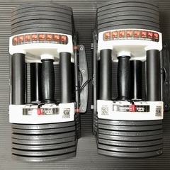 可変式ダンベル40.5kg 2個セットの画像