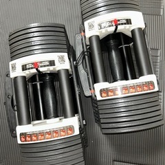 可変式ダンベル40.5kg 2個セットの画像