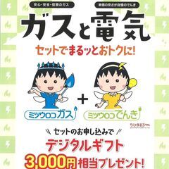 ガスと電気をお安く♪ミツウロコに乗換えでギフト券3,000…