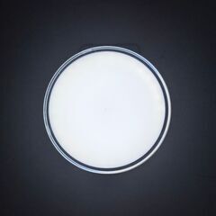  24484  ミニシーリングライト オーム 2024年製  ◆...