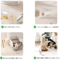 ラグカーペットの画像