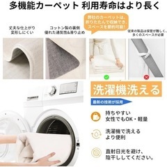 ラグカーペットの画像