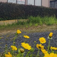 中学３年生　まだ間に合う―この夏、勉強しない子が“自分から机に向かう子”に変わる。の画像