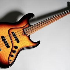 【6月限定出品】Wood Custom Guitars Vibe...