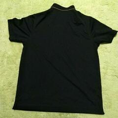 Lのゴルフポロシャツの画像